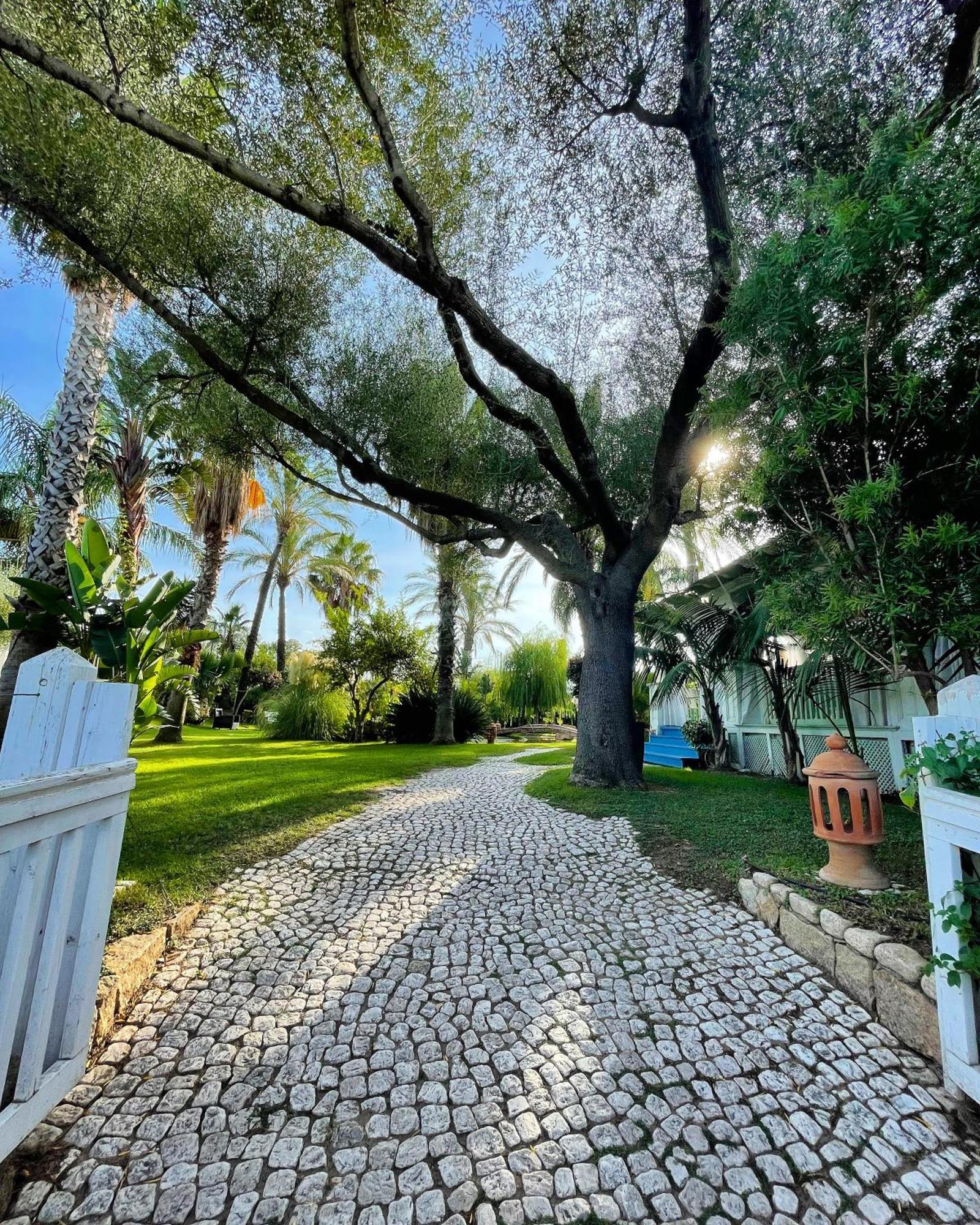 Hotel Mediterraneo Santa Maria Navarrese Eksteriør bilde
